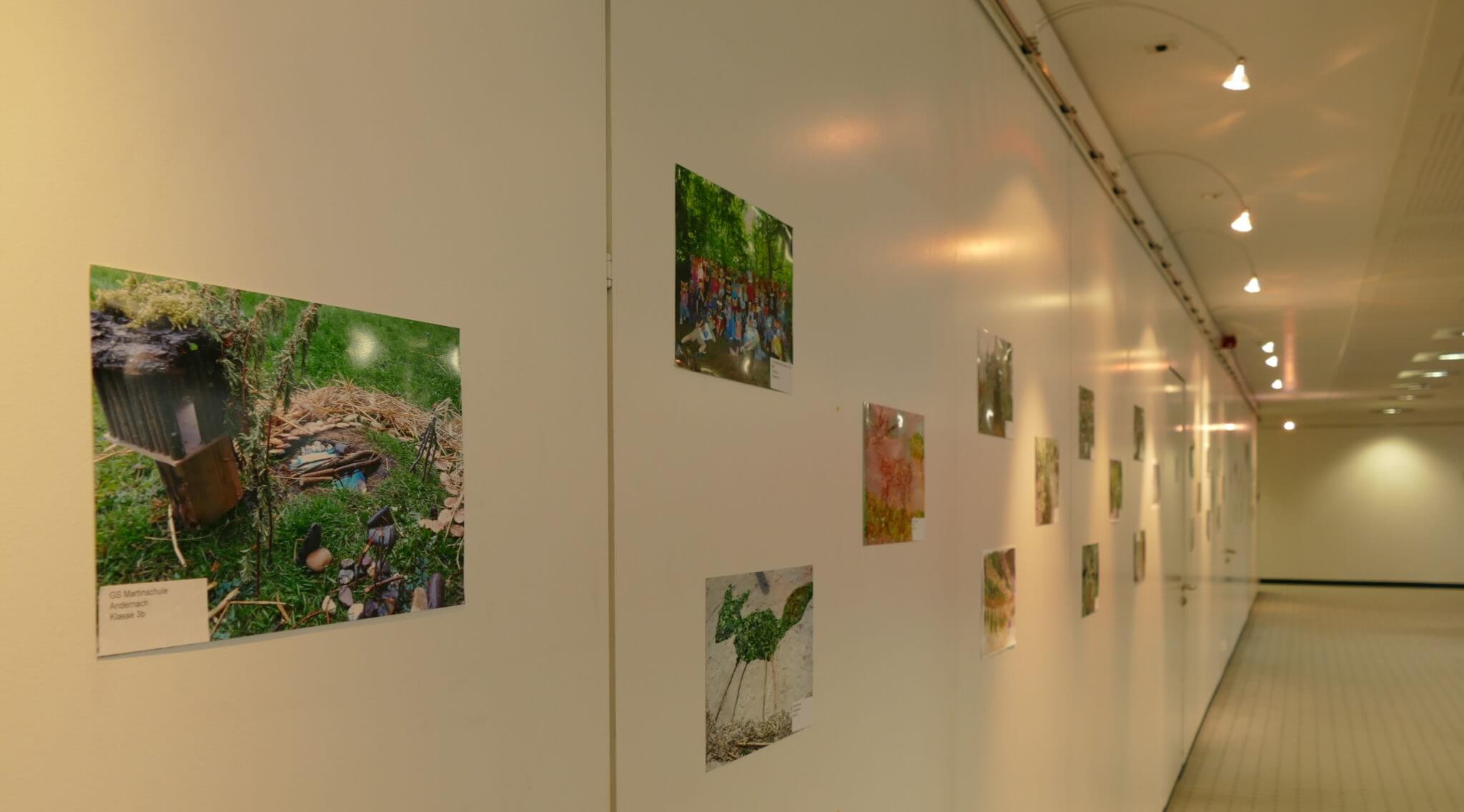 Wald-Jugendspiele_Ausstellung der Gewinner-Kunstwerke