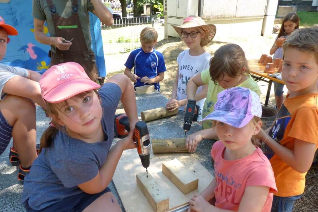 Ferienbetreuung KinderGemüsegarten Sparkasse Koblenz Magazin