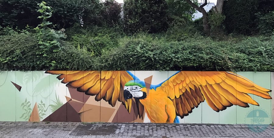 Graffiti: Daniel Schmitz | Papagei Ara Dschungel, Fassade