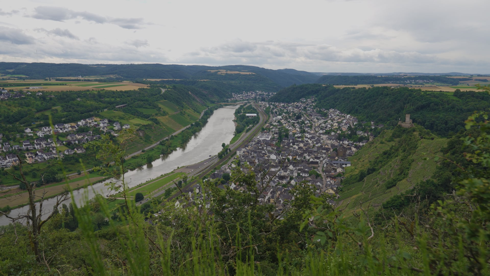 Blick vom Weinberg auf die Mosel und Kobern-Gondorf